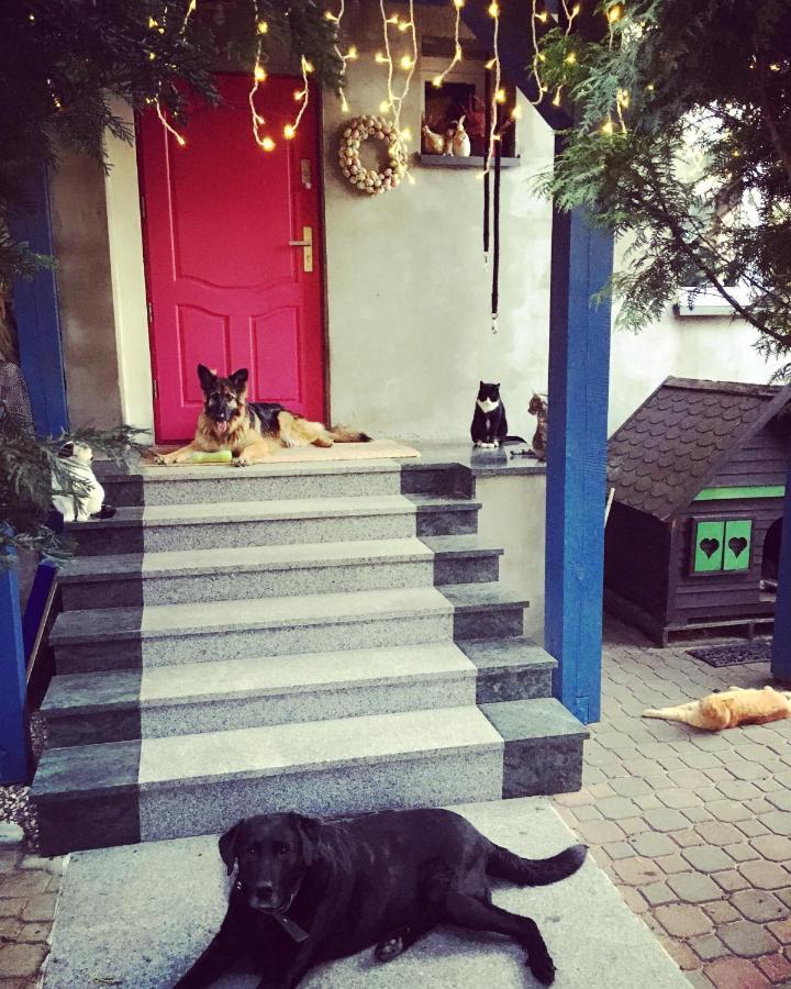 Cat Stone Villa Pisz Exterior photo